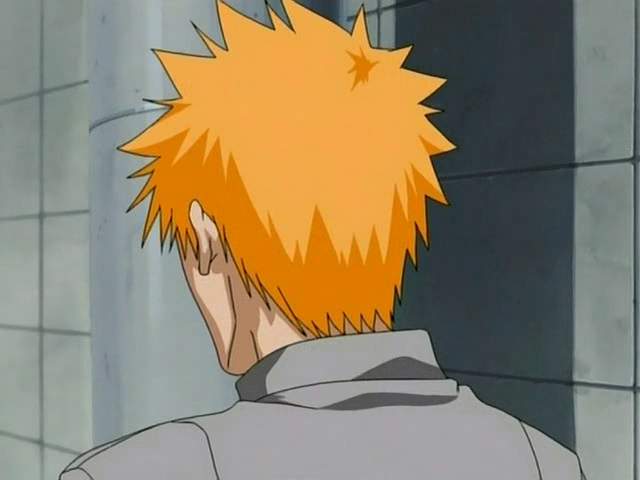 Otaku Gallery  / Anime e Manga / Bleach / Screen Shots / Episodi / 004 - Il pappagallo maledetto / 111.jpg